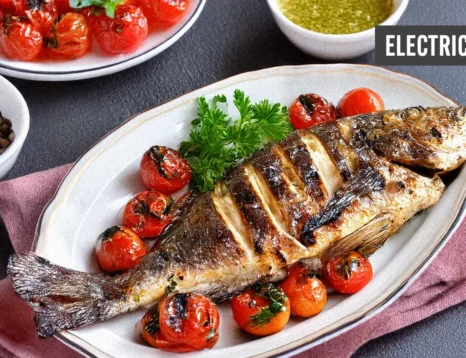 Snapper Electric BBQ